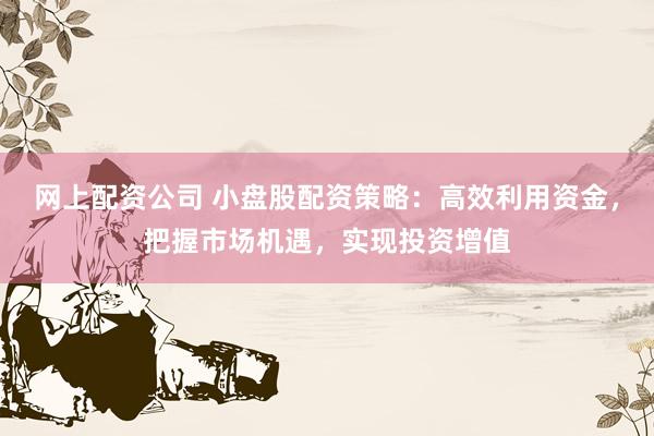 网上配资公司 小盘股配资策略：高效利用资金，把握市场机遇，实现投资增值