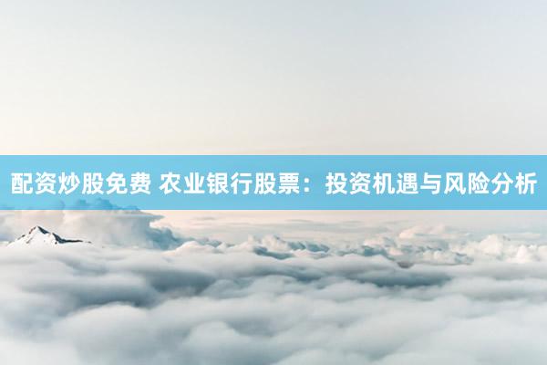 配资炒股免费 农业银行股票：投资机遇与风险分析