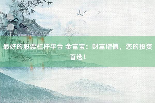 最好的股票杠杆平台 金富宝：财富增值，您的投资首选！
