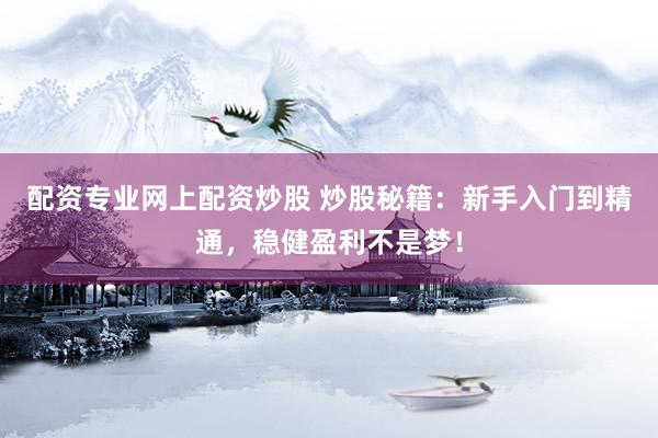 配资专业网上配资炒股 炒股秘籍：新手入门到精通，稳健盈利不是梦！