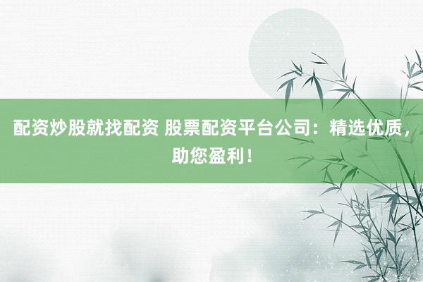 配资炒股就找配资 股票配资平台公司：精选优质，助您盈利！