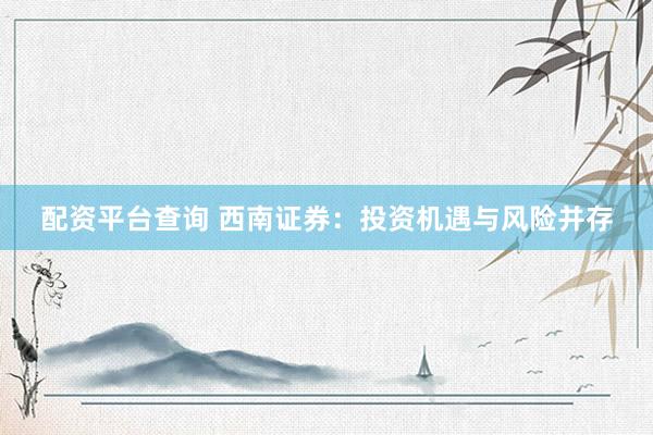 配资平台查询 西南证券：投资机遇与风险并存