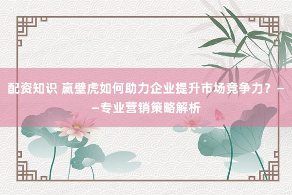 配资知识 赢壁虎如何助力企业提升市场竞争力？——专业营销策略解析