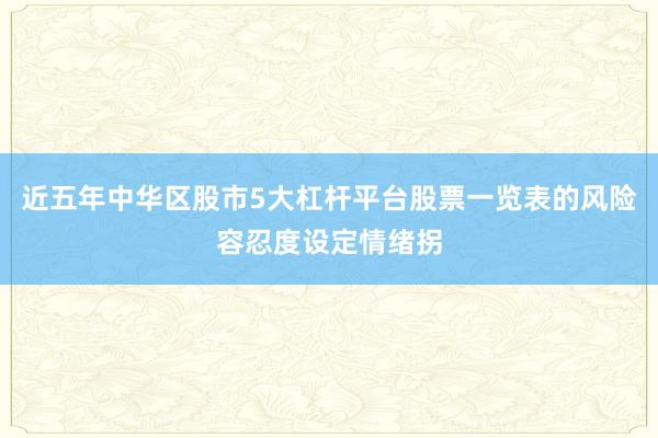 近五年中华区股市5大杠杆平台股票一览表的风险容忍度设定情绪拐