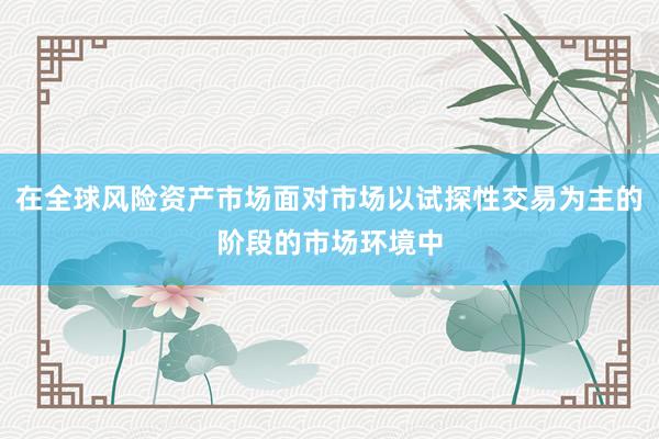 在全球风险资产市场面对市场以试探性交易为主的阶段的市场环境中