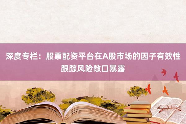 深度专栏：股票配资平台在A股市场的因子有效性跟踪风险敞口暴露